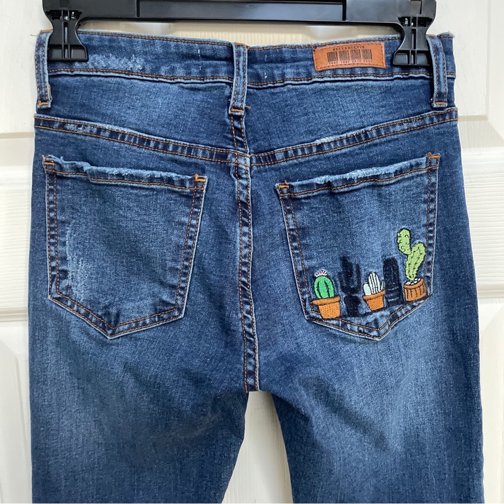 The Buckle Hellahectik Skinny Leg Cactus Embroidered Pocket Sz 25 Jeans